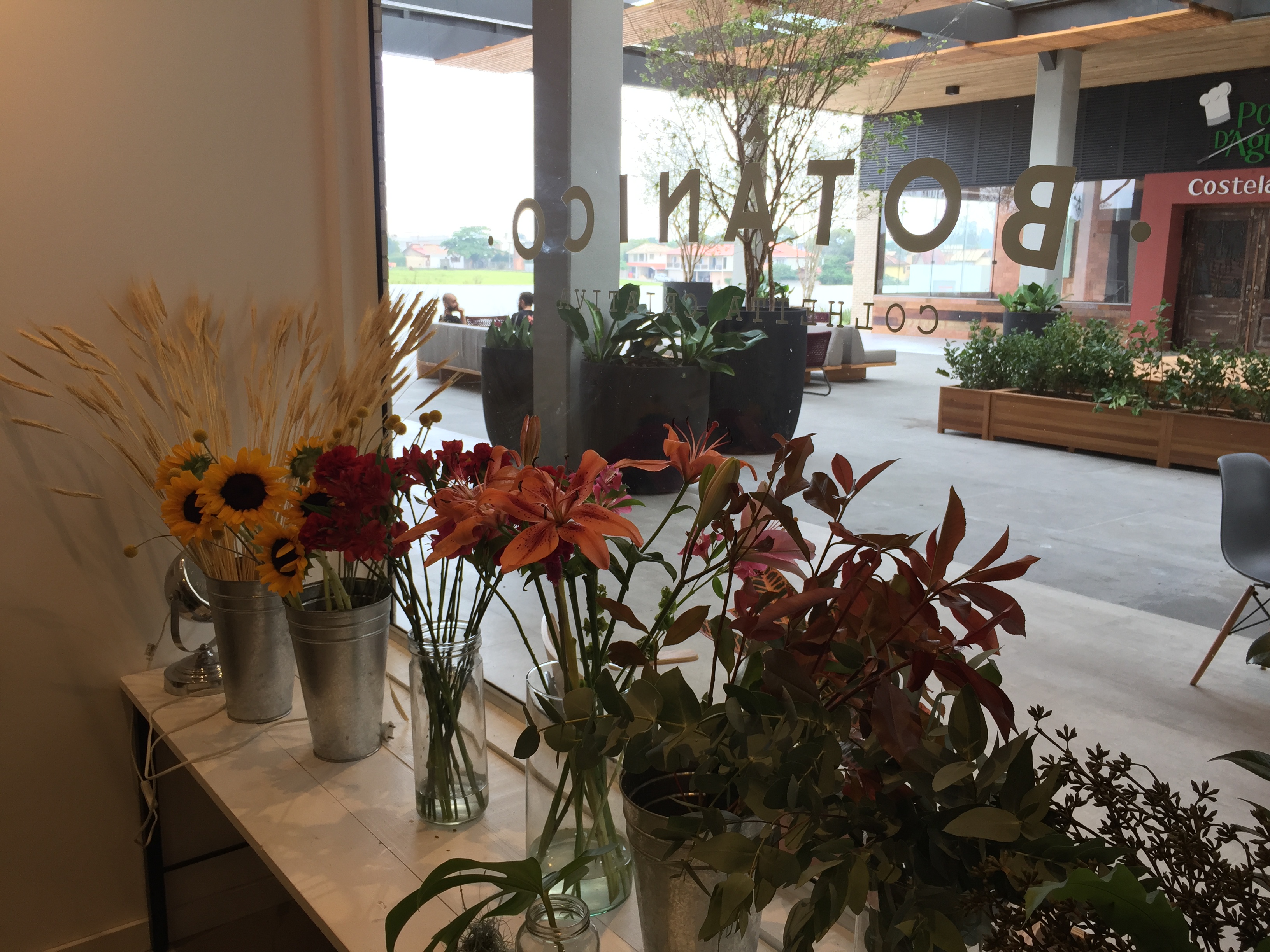 Botanico Colheita Criativa